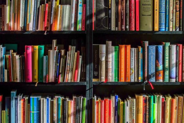 Tretji javni natečaj za diplomska, magistrska in doktorska dela s področja človekovih pravic