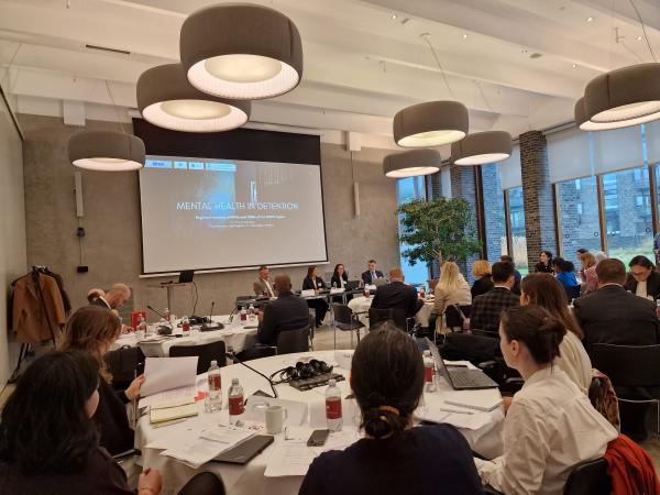 DPM-ji in NVO-ji na Danskem o skrbi za duševno zdravje 