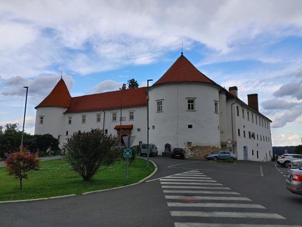 DPM ob nenapovedanem obisku Socialno varstvenega zavoda Hrastovec znova ugotovil prezasedenost 