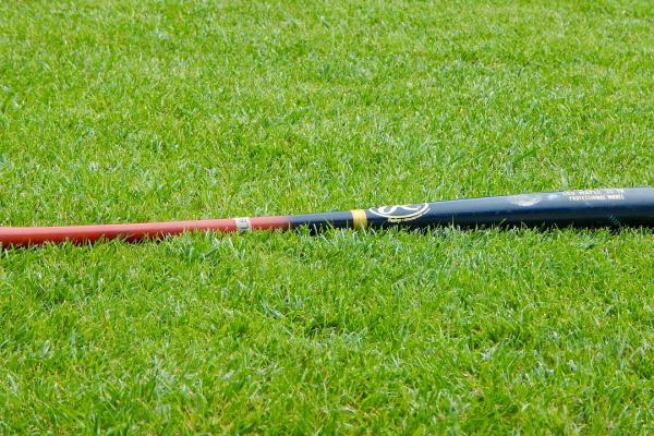 Vprašanje primernosti razstavljanja zaseženih predmetov v sodnih prostorih