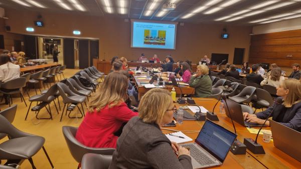 Ombudsman at the meeting of the Global Alliance of National Institutions for Human Rights in Geneva