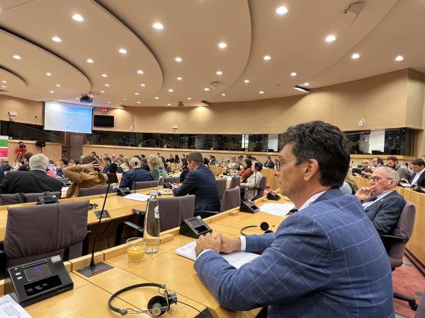 Ombudsman Svetina and his fellow ombudspersons from the EU on migrations, ethics, and artificial intelligence in public administration