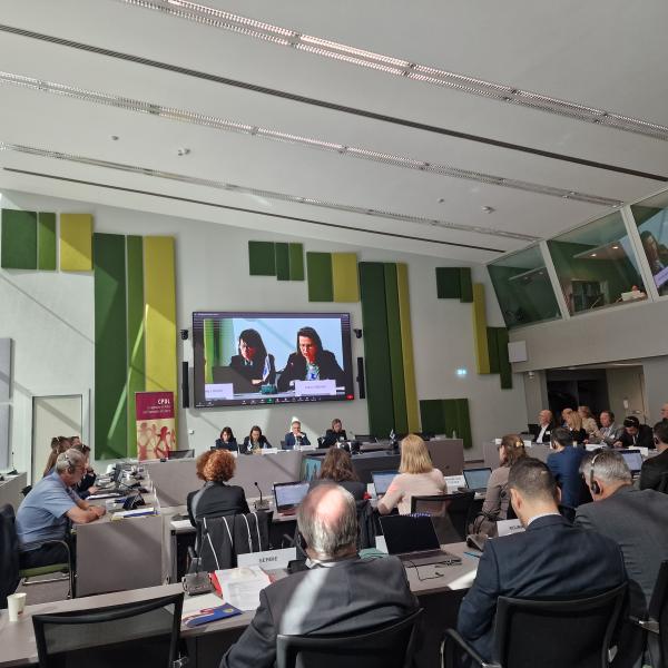 Independent Police Complaints' Authority Network (IPCAN) on the use of force by the police