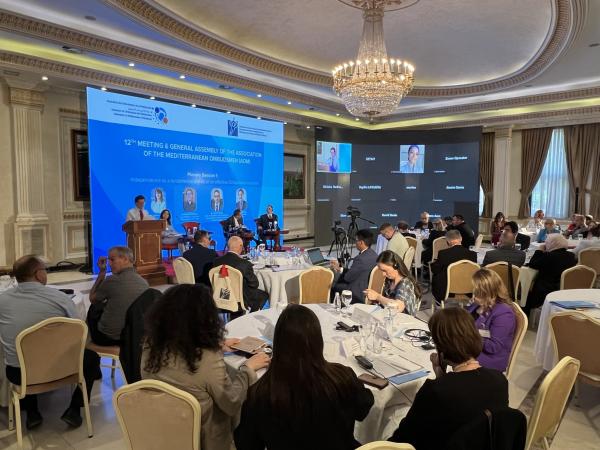 Ombudsman Svetina elected Vice-President at the meeting of the Association of Mediterranean Ombudsmen