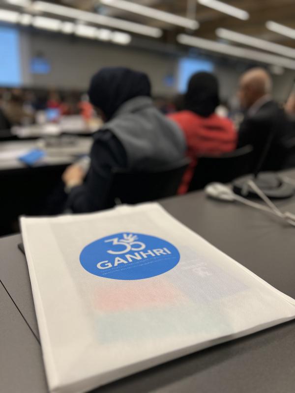 Representatives of national institutions for human rights at the annual meeting in Geneva emphasise the importance of global responsibility