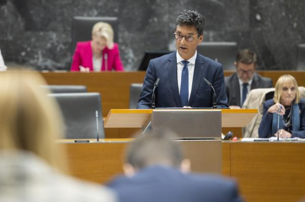 National Assembly considers the Ombudsman's reports for 2021 at plenary session