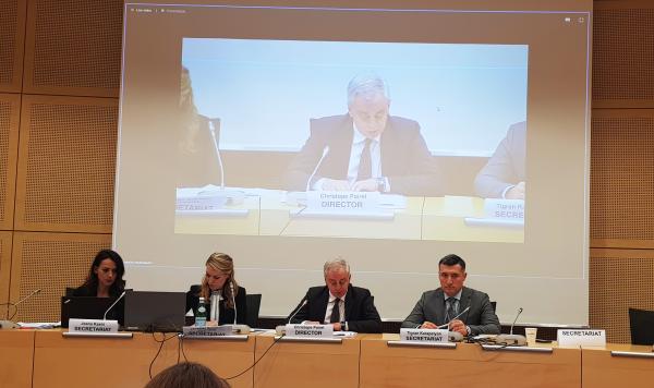 At the conference on monitoring the rights of specific groups of people deprived of their liberty, the Head of the Slovenian NPM addresses the situation of the elderly