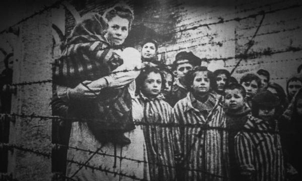 On the occasion of International Holocaust Remembrance Day: Active respect for human rights prevents crimes against humanity