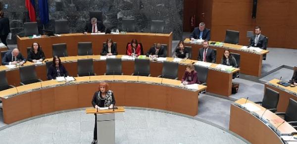 Deputy groups call for consistent respect of human rights