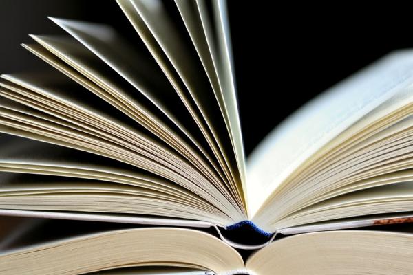 Četrti javni natečaj za diplomska, magistrska in doktorska dela s področja človekovih pravic