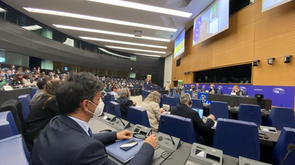 V Strasbourgu o vlogi institucij za varstvo človekovih pravic v času kriznih razmer