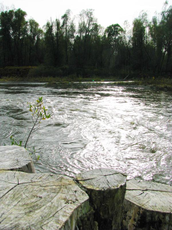 Za zaščito pravice do pitne vode nujen sprejem podzakonskih aktov