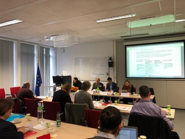 Namestnica varuhinje na tretji delavnici o zagotavljanju skladnosti z okoljskimi standardi EU