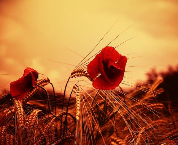 Na konferenci o demenci predstavljene ugotovitve DPM o požarni varnosti na oddelkih za osebe z demenco v domovih starejših