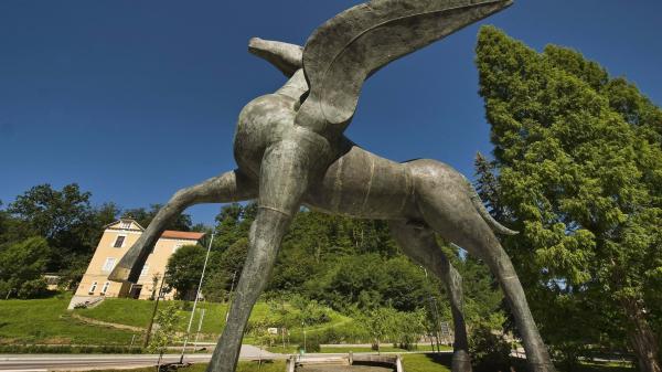 DPM nenapovedano v Pegazovem domu v Rogaški Slatini 