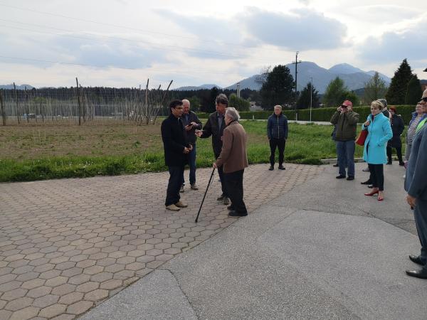 Varuh si je ogledal hmeljišča v Mislinjski dolini