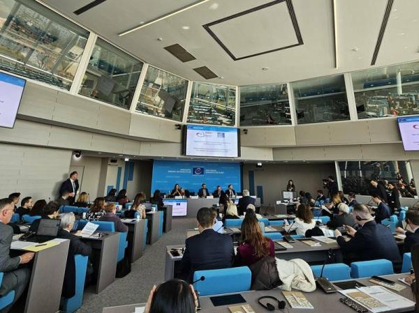 Konferenca visoke ravni ombudsmanskih institucij in nacionalnih institucij za človekove pravice v Strasbourgu