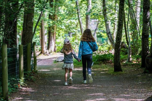 DPM ob kontrolnem obisku Kriznega centra za otroke Palčica zadovoljen z uresničitvijo njegovih priporočil