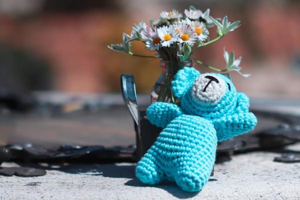 Unannounced Thematic Visits by the NPM to the Kranj Expert Centre