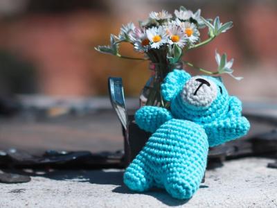 Unannounced Thematic Visits by the NPM to the Kranj Expert Centre