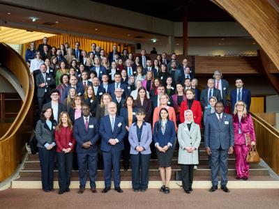 Varuhinja na visoki konferenci Sveta Evrope o vlogi ombudsmanov in nacionalnih institucij za človekove pravice pri sodobnih grožnjah demokraciji v Evropi