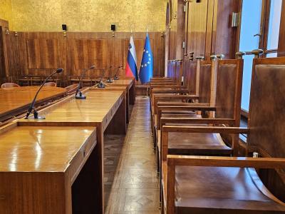 Varuhinja človekovih pravic pozdravlja odločitev ustavnega sodišča