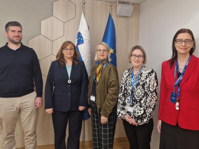 »Demokratične volitve morajo biti izraz svobodne in informirane volje državljanov,« opozarja varuhinja človekovih pravic