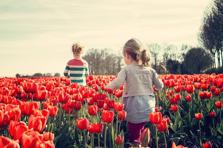 Otroka tečeta med tulipani