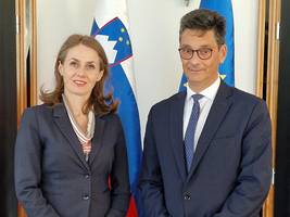 Commissioner for the Protection of Serbia's Equality at the Ombudsman Svetina